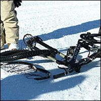 Gee Hits the slopes!