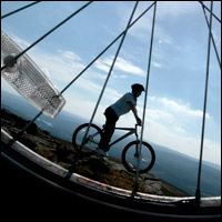 Businesses Invited To Join Kielder's Biking Revolution