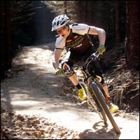 It's all happening at Kielder - Second Image