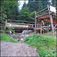 Ride the Bongo Bongo and share your point of view