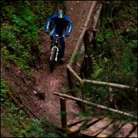 Ride the Bongo Bongo and share your point of view - Second Image