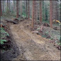 Hamsterley aims to create England's best cycle trail