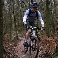 New Trails in Bedgebury Forest - Kent