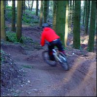 Haldon Trailbuilding maps available!