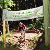 Avon Timberland Trail Improvements