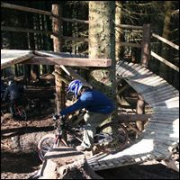 Haldon Forest trails featured in this months MBUK