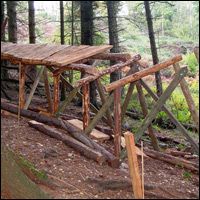 Haldon Freeride trail developments