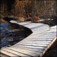 New North shore section for Cannock Chase Trail