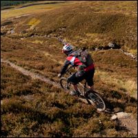 Discover Scotland's (liquid) gold trail!