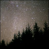 Bikers Challenge The Dark Side