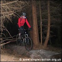 New trails planned for Wharncliffe Wood!