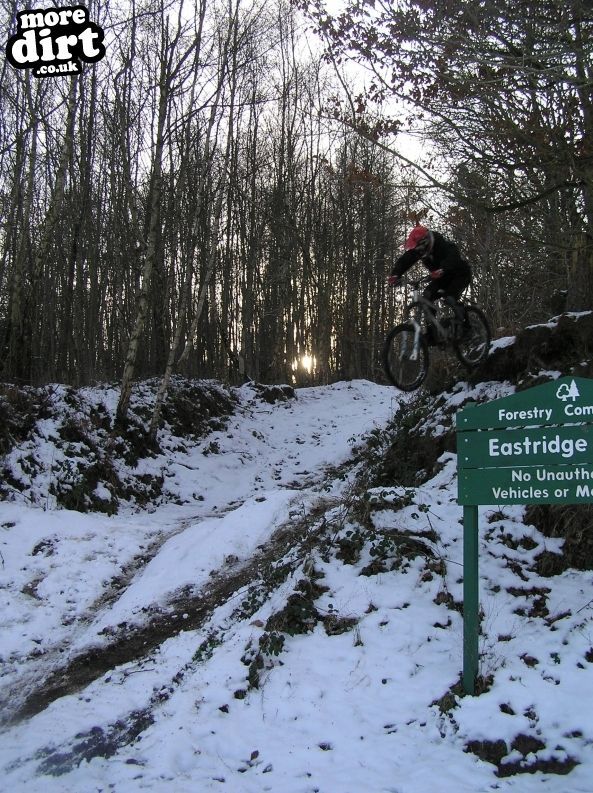 Eastridge Downhill Trails