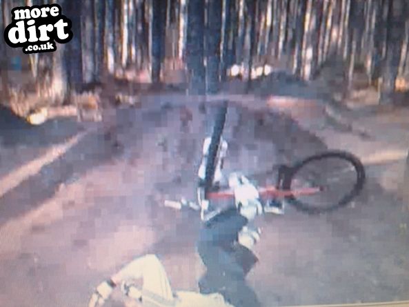 Sherwood Pines Bike Park