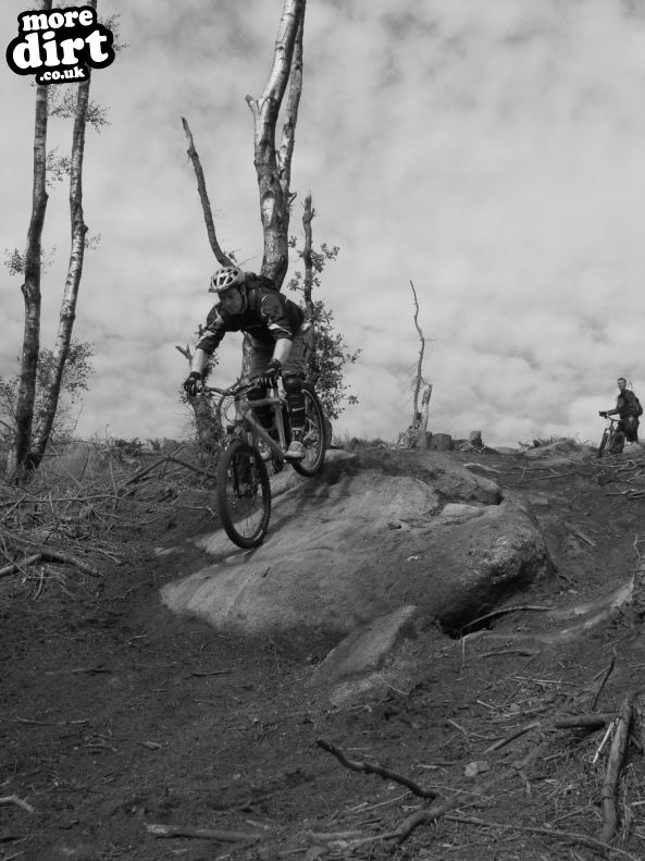 Norwood Edge Trail - Stainburn Forest