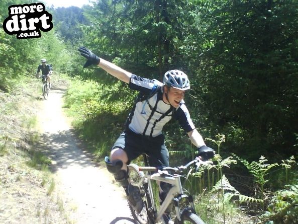 Dalby Forest Red Trail