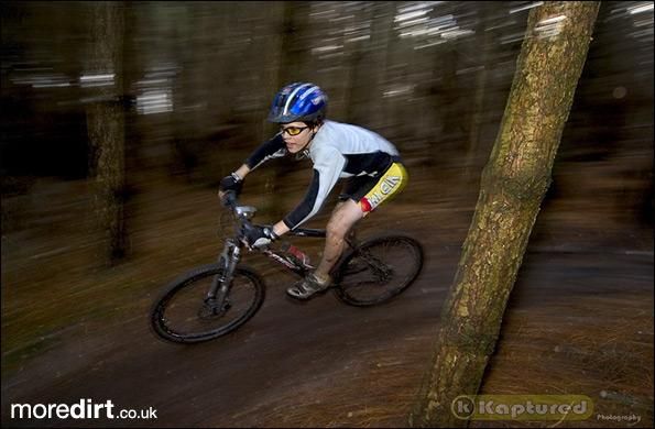 Follow the Dog Trail - Cannock Chase