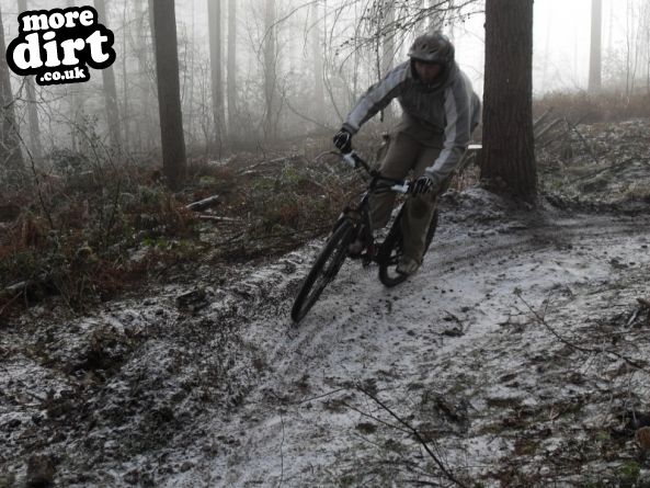 Eastridge Downhill Trails