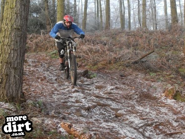 Eastridge Downhill Trails