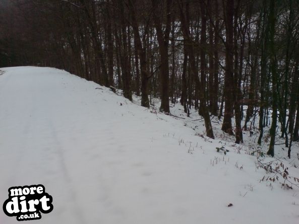 Raven Trail - Brechfa