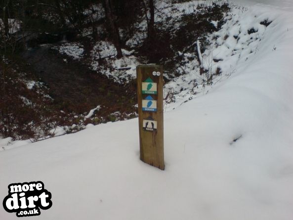 Raven Trail - Brechfa