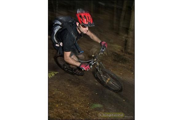 Follow the Dog Trail - Cannock Chase