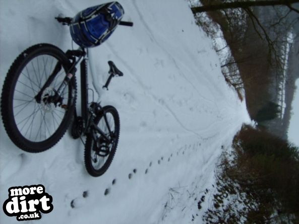 Raven Trail - Brechfa