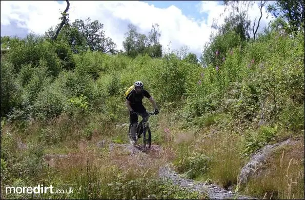 JD on a section of the Penmachno trail