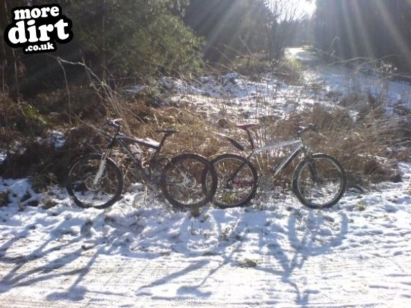 Delamere Forest Mountain Bike Trails