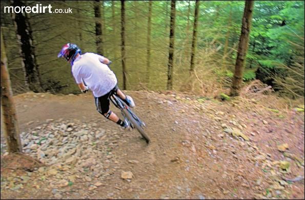 Black Trail - Coed Llandegla Forest