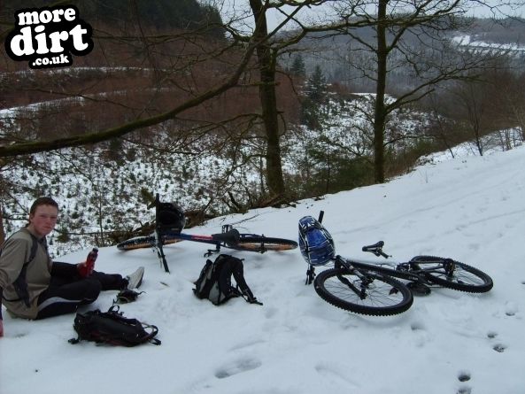 Raven Trail - Brechfa