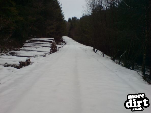 Raven Trail - Brechfa