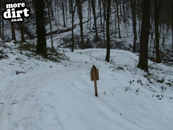 Raven Trail - Brechfa