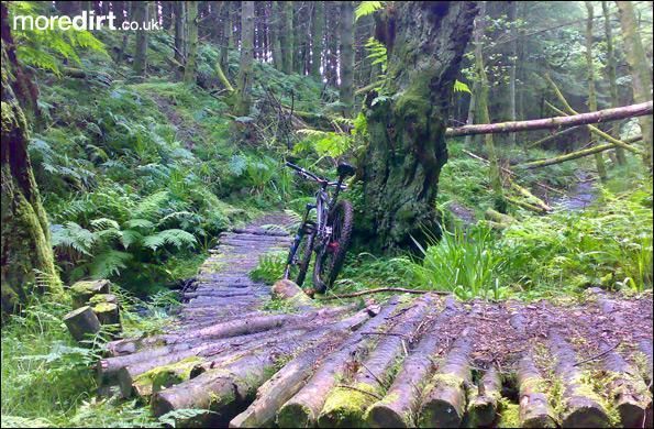 Fetteresso (Swanley) Trail