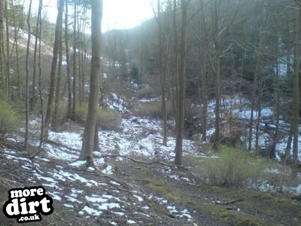 Guisborough Forest Mountain Bike Trails