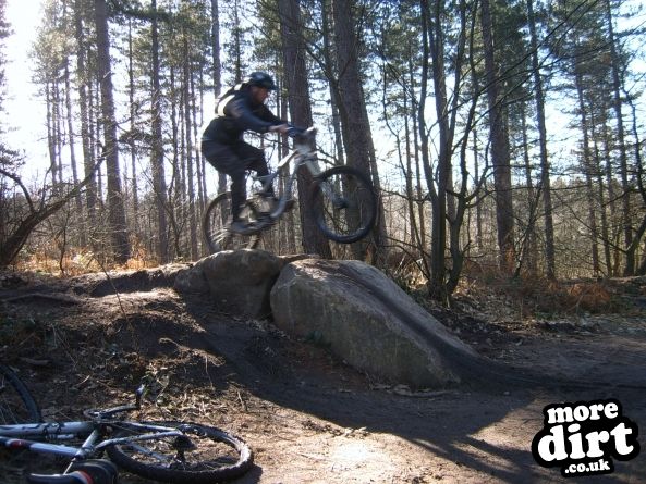 Adventure Cycle Trail - Sherwood Pines