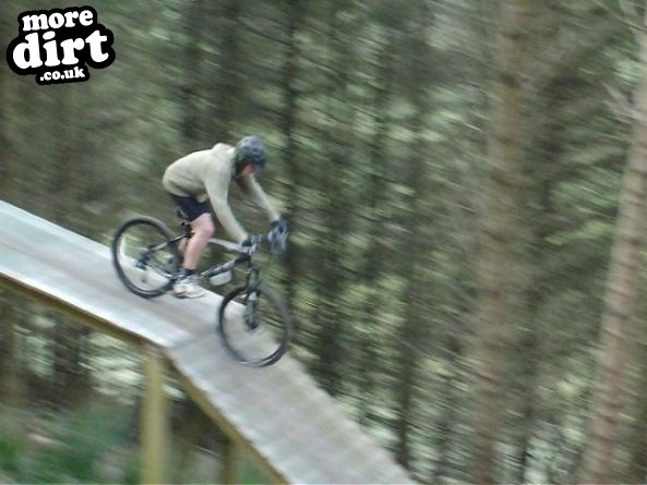 Black Trail - Coed Llandegla Forest