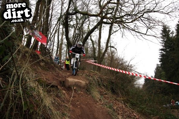 Wentwood Forest Downhill Trail