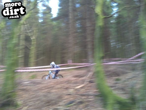 Wentwood Forest Downhill Trail