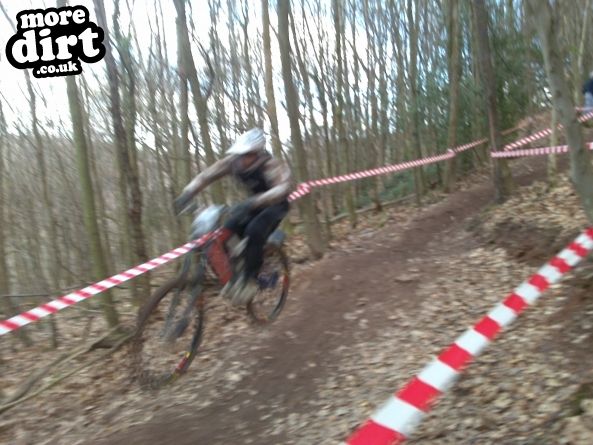 Wentwood Forest Downhill Trail