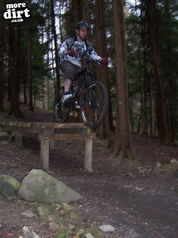 Hamsterley Forest Mountain Bike Trails