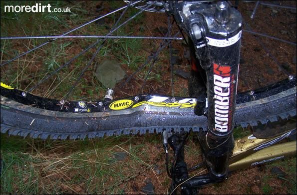 Phoenix Trail - Mabie Forest