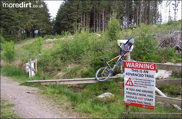 Dark Side Trail - Mabie Forest