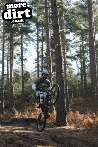 Swinley Forest Mountain Bike Centre