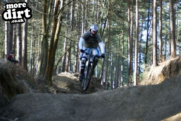 Swinley Forest Mountain Bike Centre
