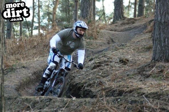 Swinley Forest Mountain Bike Centre
