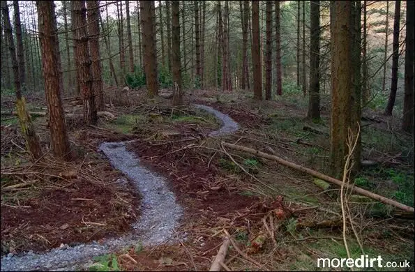 Some sweet single track on XC trail.