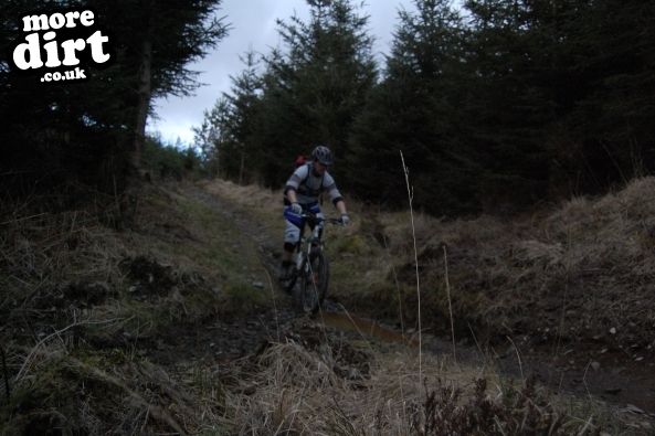 Gwydir Mawr Mountain Bike Trail