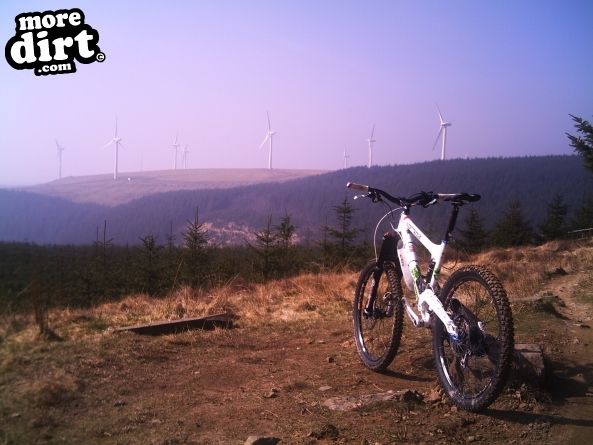 Skyline Trail - Afan Forest