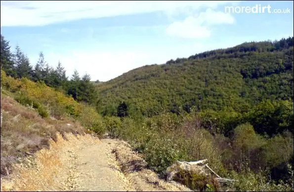 Mountain bike track on green Derwen trail in Brech