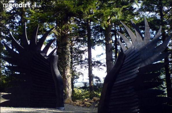 Derwen Trail - Brechfa